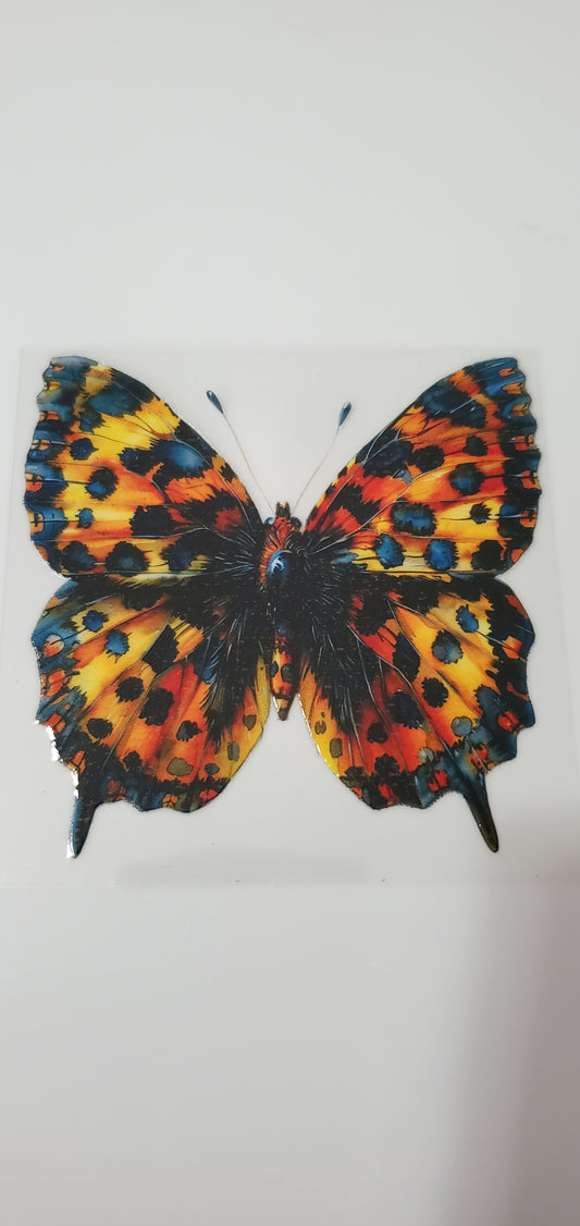 B851
