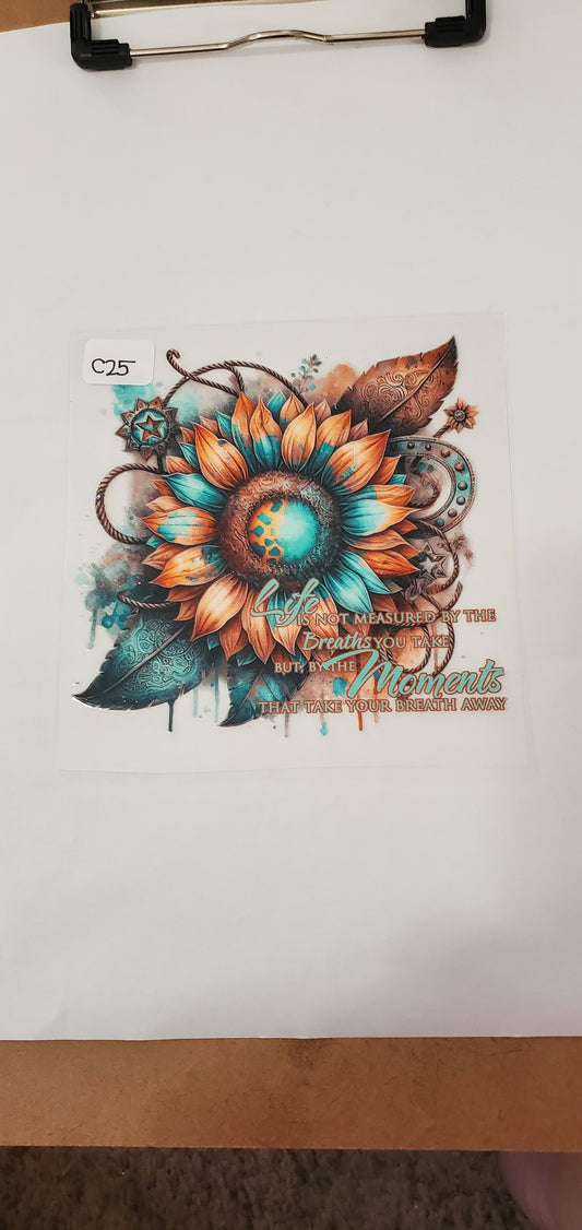 C25