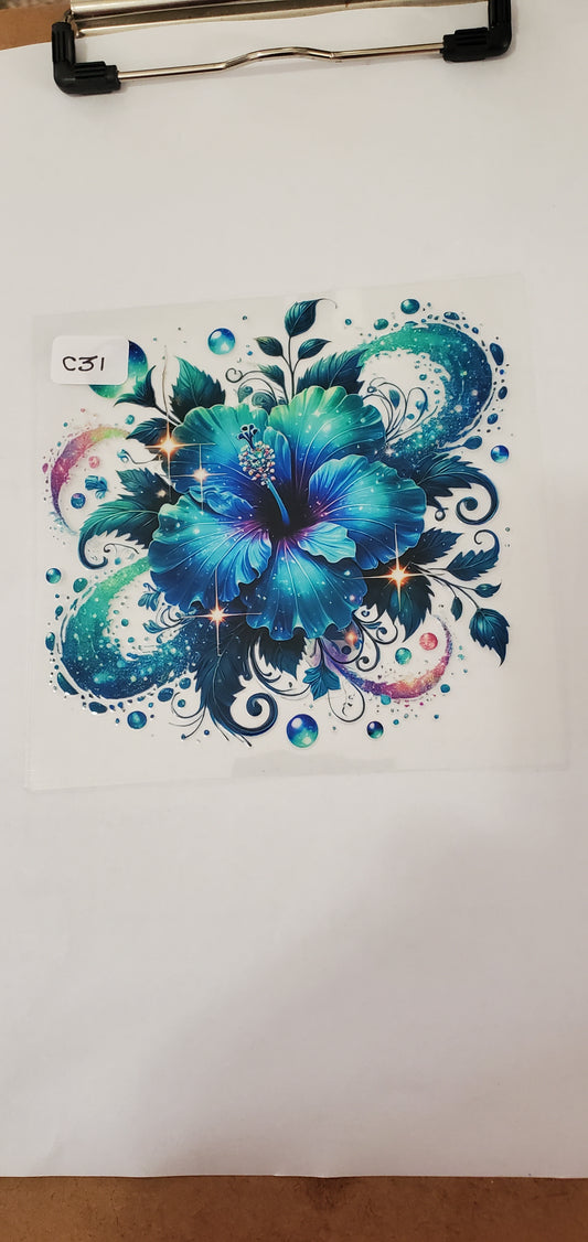 C31